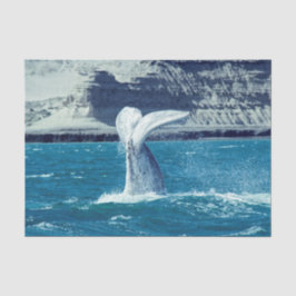 Papel De Seda Carne de ternera ballena - Argentina Postcard