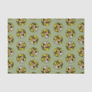 Papel De Seda Carolina Wren sobre pintura de aves originales