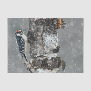 Papel De Seda Carpintero lechoso en nieve - Fotografía original