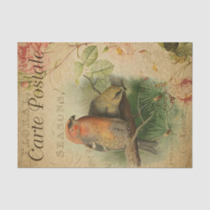 Papel De Seda Carte de estilo francés Postale Grosbeaks