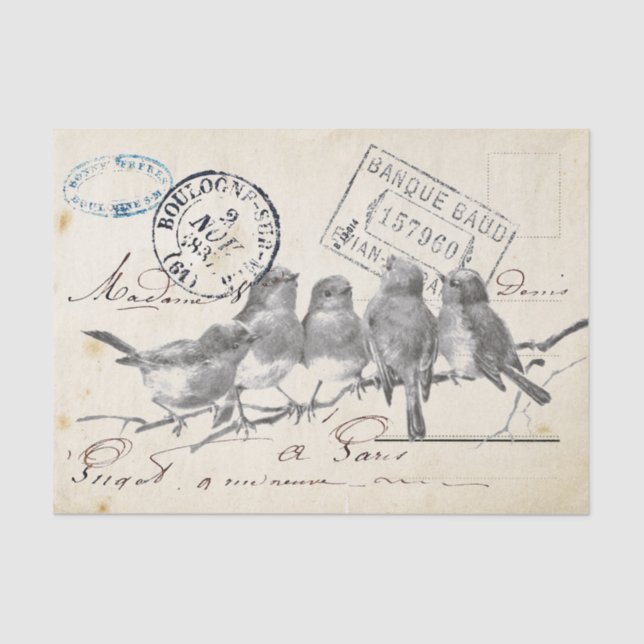 Papel De Seda Carte de pájaros cantores franceses postales en un (Anverso)
