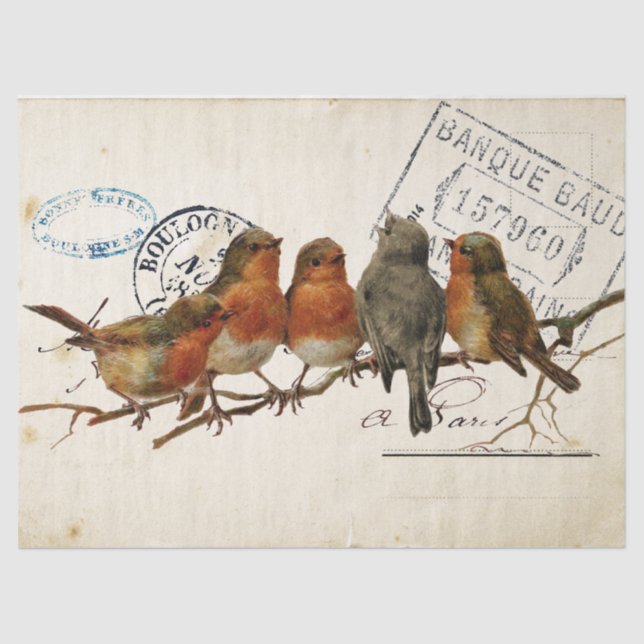 Papel De Seda Carte Postale Bird Set 3 de 4 (Robins europeos) (Anverso)