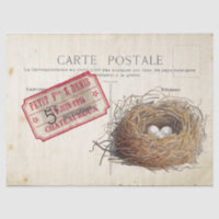 Carte Postale Bird Set 4 de 4 (boleto de nido de a