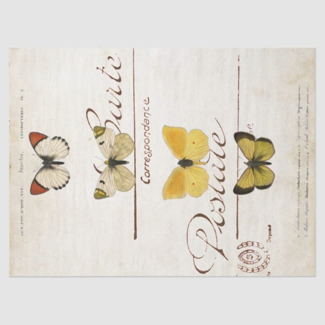 Papel De Seda Cartua franca de mariposa vintage (Anverso)