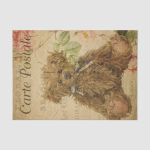 Papel De Seda Cartuta de estilo francés posale Teddy Bear
