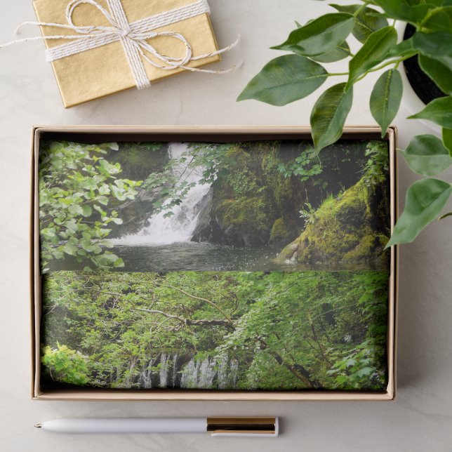 PAPEL DE SEDA CASCADA   (Regalo )