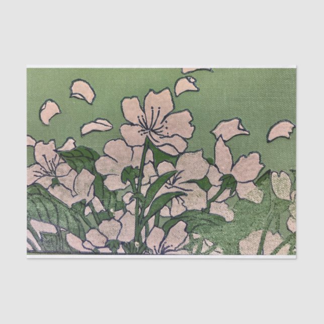 Papel De Seda Cascada de Blossom Rosa (Anverso)