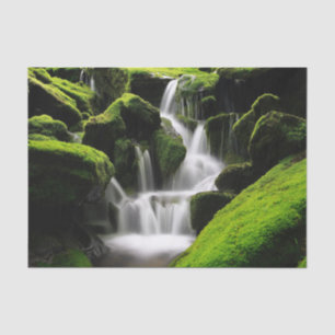Papel De Seda Cascada de inspiraciones de la naturaleza en Corea
