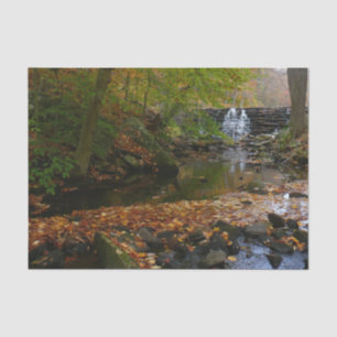 Papel De Seda Cascada de otoño y arroyo Pensilvania Naturaleza