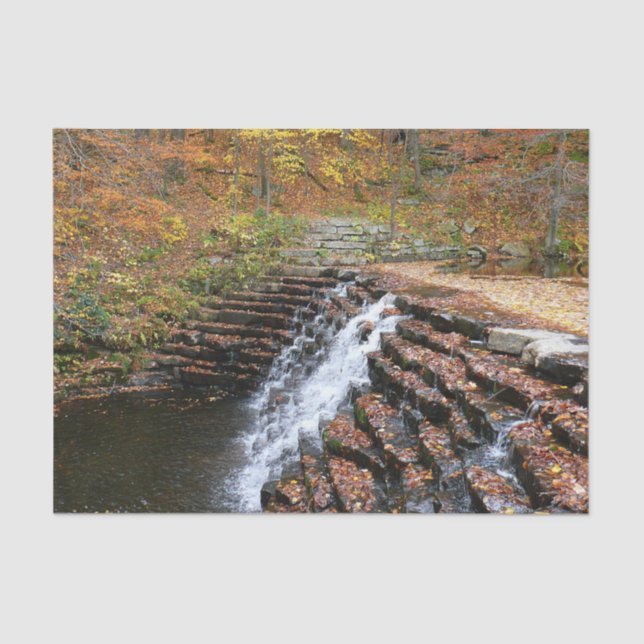 Papel De Seda Cascada en el Parque Estatal Laurel Hill (Anverso)