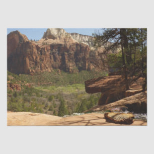 Papel De Seda Cascada en las piscinas de esmeralda en el Parque 