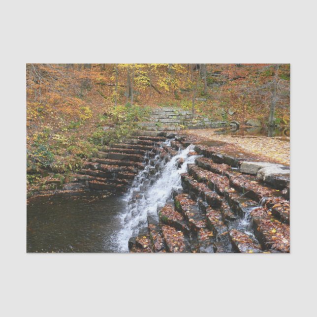 Papel De Seda Cascada en Laurel Hill State Park II (Anverso)