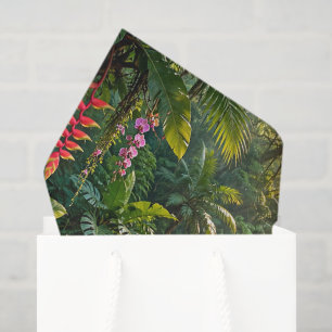 Papel De Seda Cascadas Arcoíris Colibríes Paraiso Tropical