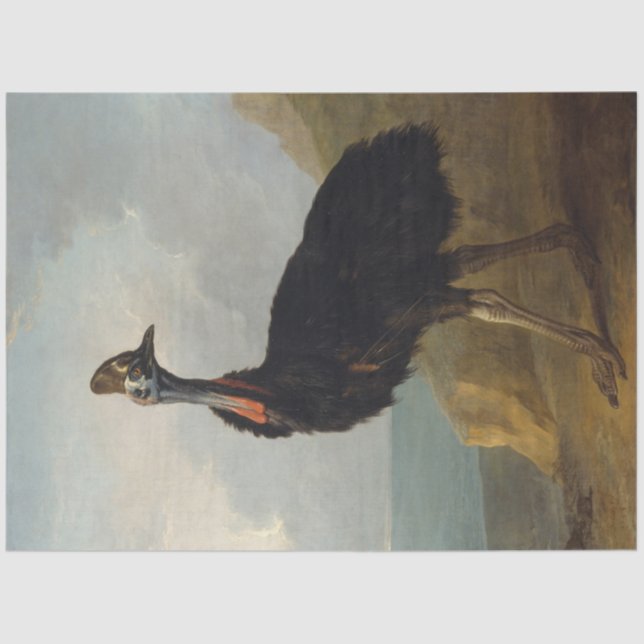 Papel De Seda Cassowary (Australian Bird) (Wild Animal Art) (Anverso)