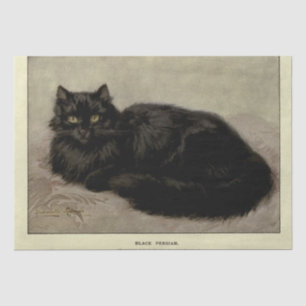 Papel De Seda Cat Ephemera Decoupage Black Persian