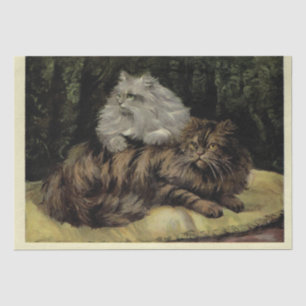 Papel De Seda Cat Ephemera Decoupage Brown Tabby Silver Persa