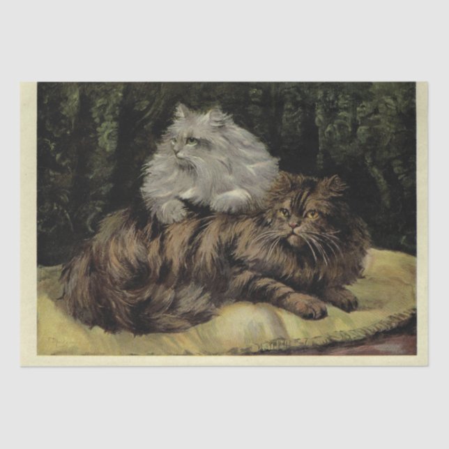 Papel De Seda Cat Ephemera Decoupage Brown Tabby Silver Persa (Anverso)