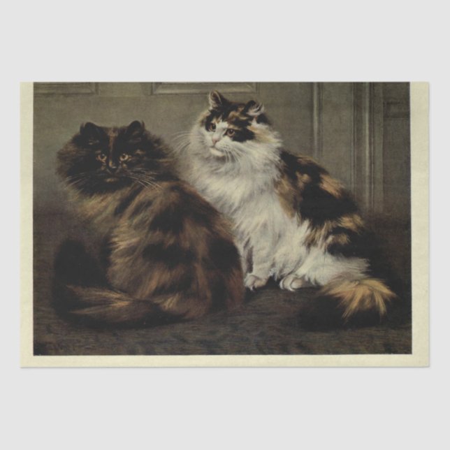 Papel De Seda Cat Ephemera Decoupage Tortoiseshell Blanco negro (Anverso)