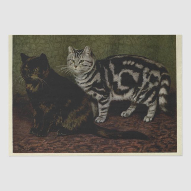 Papel De Seda Cat Ephemera Decoupage Tortoiseshell Silver Tabby (Anverso)