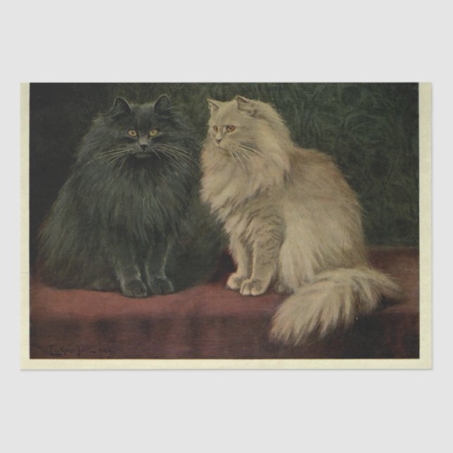 Papel De Seda Cat Ephemera Desnuda Blu Cream Persian (Anverso)