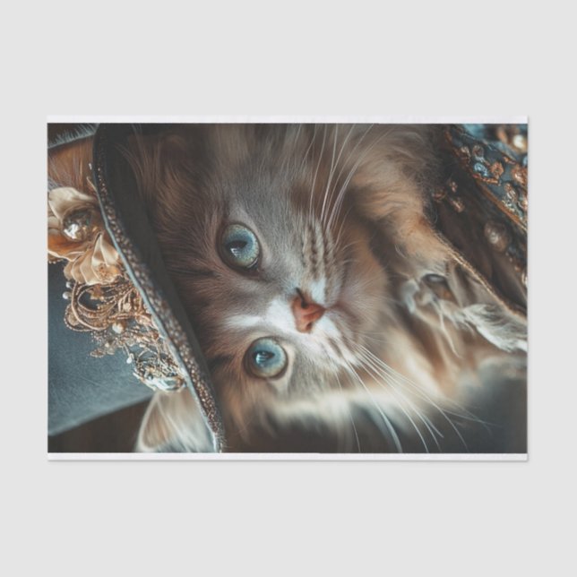 Papel De Seda Cat Lyfe2 (Anverso)