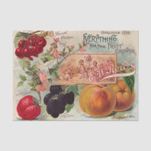Papel De Seda Catálogo Antiguo de Reid Impresión 1896