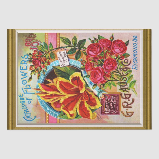 Papel De Seda Catálogo de cubierta de semillas 1896 Richmond Ind (Anverso)