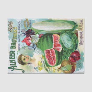Papel De Seda Catálogo de semillas antiguas Alneer Brothers 1896