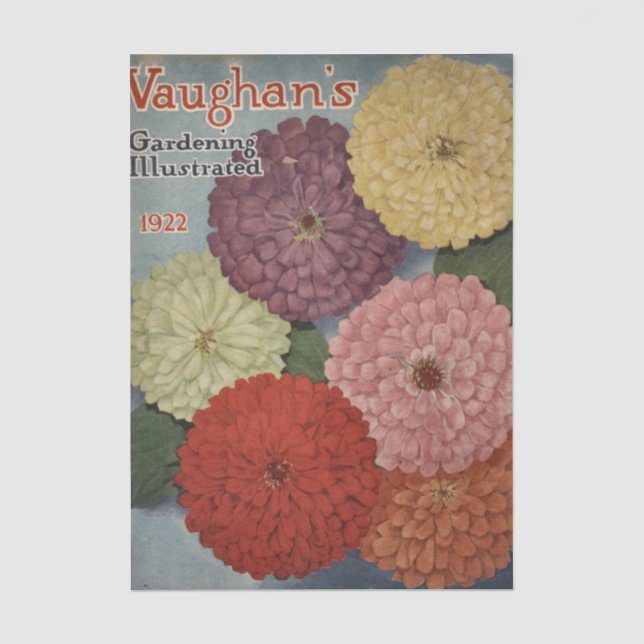 Papel De Seda Catálogo de semillas antiguo Vaughan's, 1922 (Anverso)