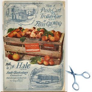 Papel De Seda Catálogo de semillas de época Hale's Peaches