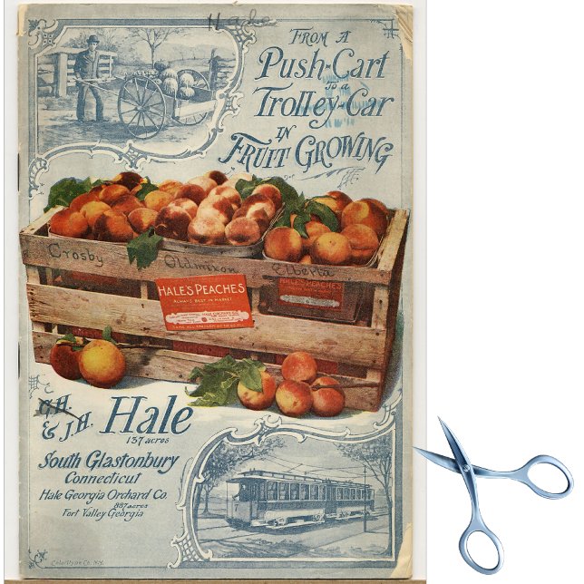 Papel De Seda Catálogo de semillas de época Hale's Peaches (Subido por el creador)