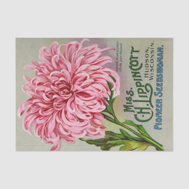 Papel De Seda Catálogo de semillas de época Ms. Lippincott Flowe (Anverso)