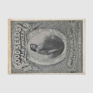 Papel De Seda Catálogo de semillas de época Northrup King Seed 1