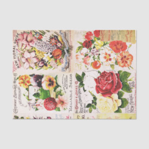 Papel De Seda Catálogo de semillas de flores antiguas