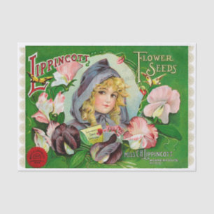 Papel De Seda Catálogo de semillas de flores Sweet Peas 1908