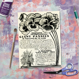 Papel De Seda Catálogo de semillas de pensamientos gigantes vint