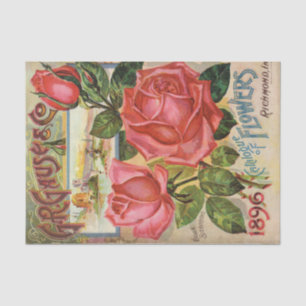 Papel De Seda Catálogo de semillas vintage 1896 G.R. Gause