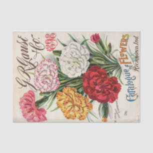 Papel De Seda Catálogo de semillas vintage 1898 G.R. Gause and C