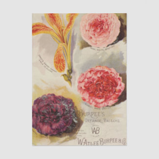 Papel De Seda Catálogo de semillas vintage, balsas de desafío de
