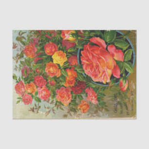 Papel De Seda Catálogo de semillas vintage Childs Jewel The Rose