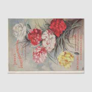 Papel De Seda Catálogo de semillas vintage colección de clavel d