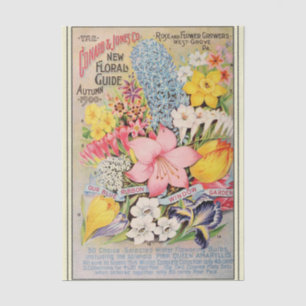 Papel De Seda Catálogo de semillas vintage Conard 1900 Rosas y F