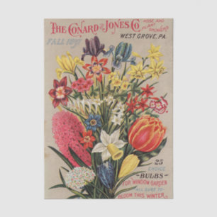 Papel De Seda Catálogo de semillas vintage Conard y Jones Co. 18