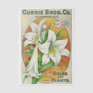 Papel De Seda Catálogo de semillas vintage Currie Bros 1905 Liri