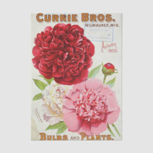 Papel De Seda Catálogo de semillas vintage Currie Bros, Otoño 19