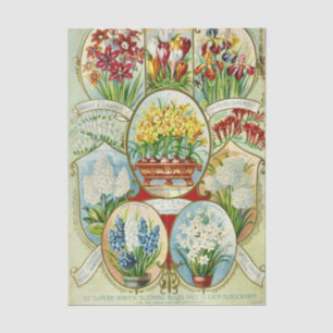 Papel De Seda Catálogo de semillas vintage Dingee & Conard Flore