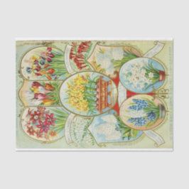 Papel De Seda Catálogo de Semillas Vintage Dingee Conard Flowers