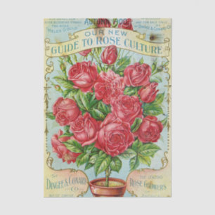 Papel De Seda Catálogo de semillas vintage Dingee & Conard Rose