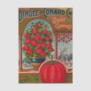 Papel De Seda Catálogo de semillas vintage Dingee Rose Growers,