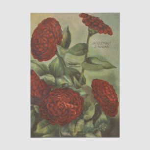 Papel De Seda Catálogo de semillas vintage, Emma White, zinnias 